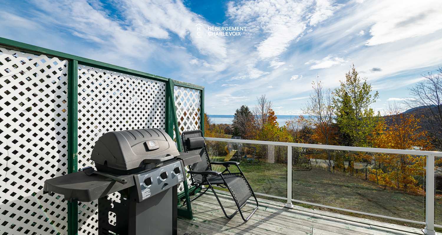 VER-1 ( haut) - Moments for relaxation in front of the stone fireplace